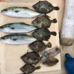 紀北で五目釣り