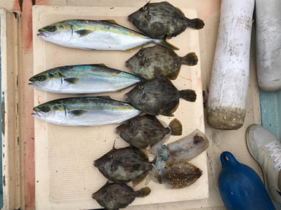 紀北で五目釣り