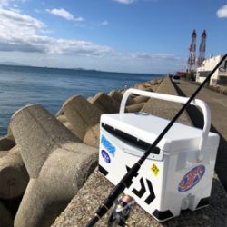 暇つぶしライトショアジギ