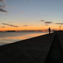 爆風の中ポーアイ釣行