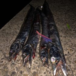 右も左もドラゴン