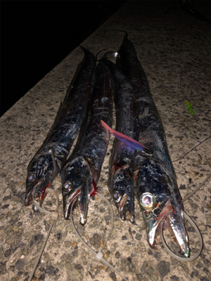 右も左もドラゴン