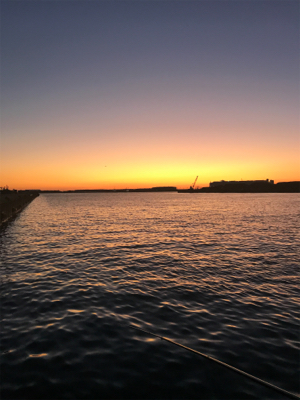 タチウオ餌釣り