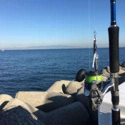 ハマチ‥修行は続く