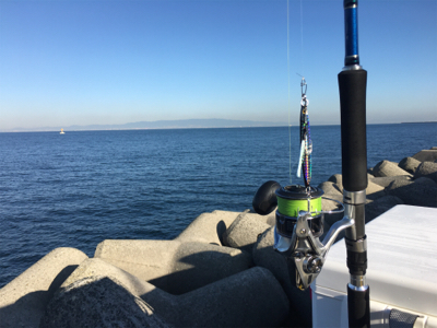 ハマチ‥修行は続く