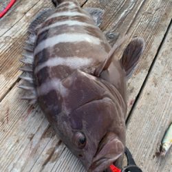 釣堀 水宝さんにて
