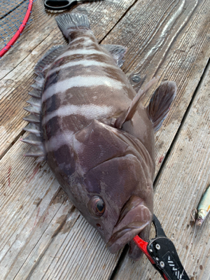 釣堀 水宝さんにて
