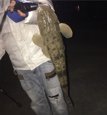 アジ/ヒイカ/アオリイカ♪GUNNING-STYLE