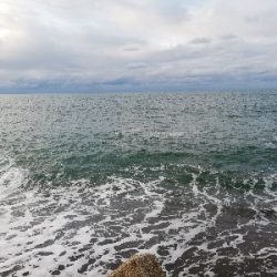 ライトショアジギング