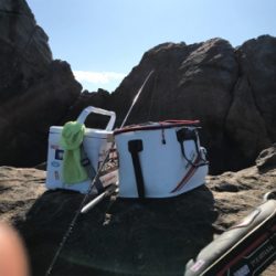 グレフカセ釣り