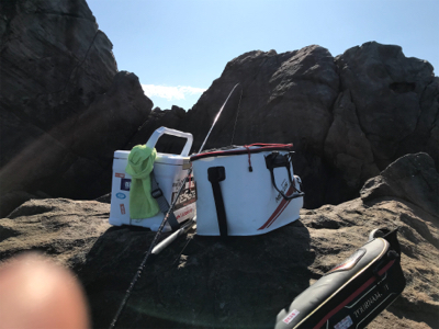 グレフカセ釣り