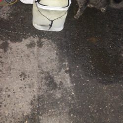 アジング練習 56