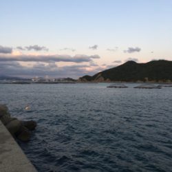 軽めの朝マヅメ