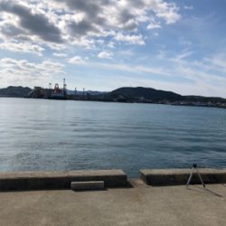 親父たちの釣行 淡路島編