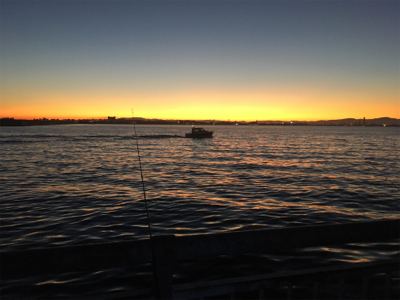 東側ベランダで夜釣り