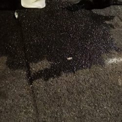 アジング練習  57