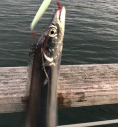 青、確保できず