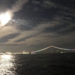 久しぶりにエギング