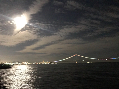 久しぶりにエギング