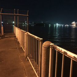 ヒイカ調査、広畑埠頭!