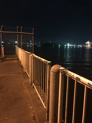 ヒイカ調査、広畑埠頭!