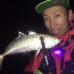 ヒイカゲームからの回遊アジング☆GUNNING-STYLE