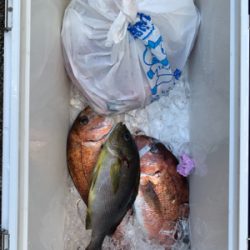 ポート田尻さんにて