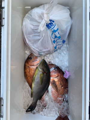 ポート田尻さんにて