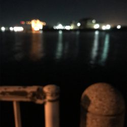 寒い中の渋いヒイカ釣りσ(^_^;)