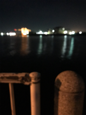 寒い中の渋いヒイカ釣りσ(^_^;)