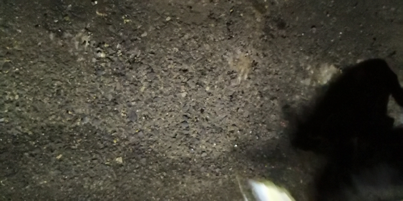 アジング練習 62