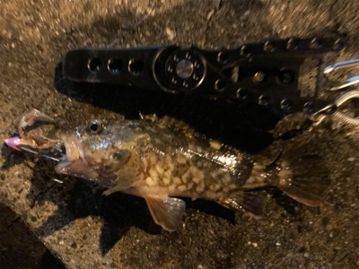 タチウオ引き釣り