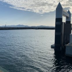 サゴシ狙いの筈が