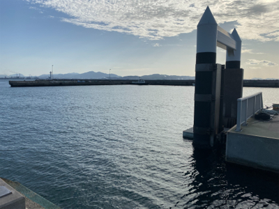 サゴシ狙いの筈が