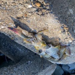 到着して直ぐ❗️