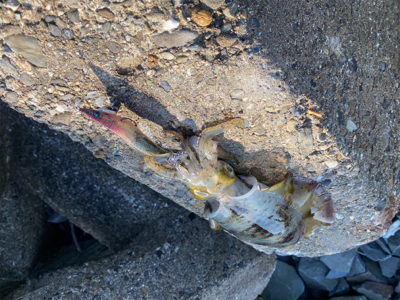 到着して直ぐ❗️