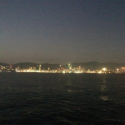 メクリアジ好釣!