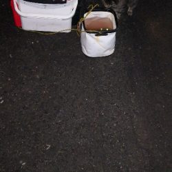 アジング練習  63