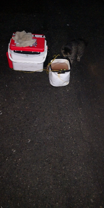 アジング練習  63