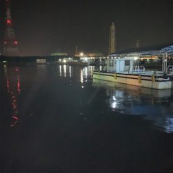 ヒイカシーズン!