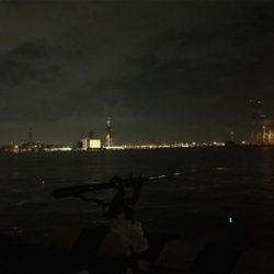 舞洲復活の兆し