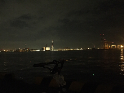 舞洲復活の兆し