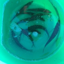 二週間ぶりの釣りですが⁉️