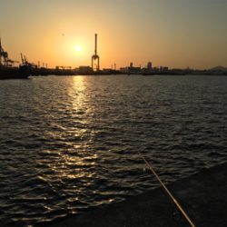 のんびりと昼から釣行