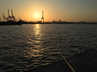 のんびりと昼から釣行