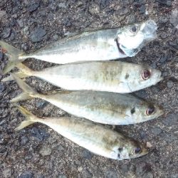 めっちゃ引くやん