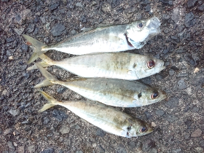 めっちゃ引くやん