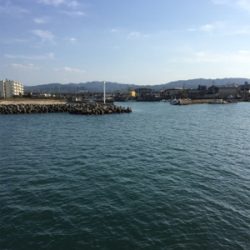 秋っぽい砂地の魚