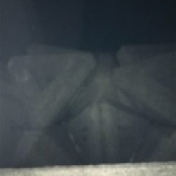 餌取り半端ない