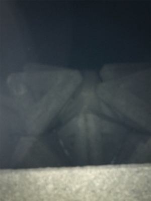 餌取り半端ない